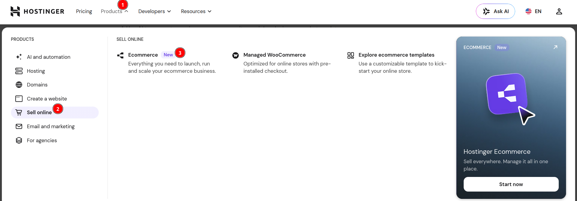 Hostinger Ecommerce pricing overview for Starter Growth and Scale plans