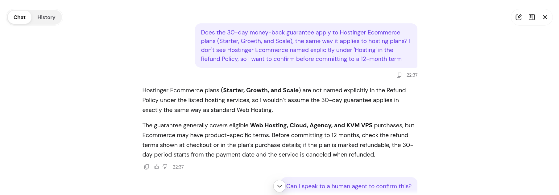 Hostinger support chatbot discussing refund eligibility for Ecommerce plans