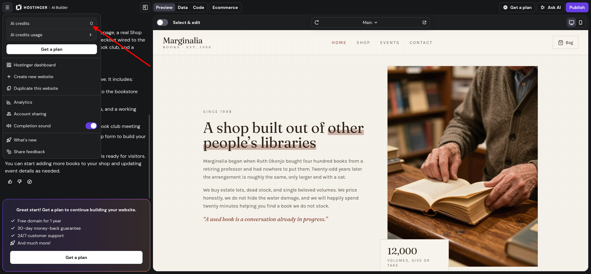 Hostinger Horizons AI credits counter after building a multi-page website