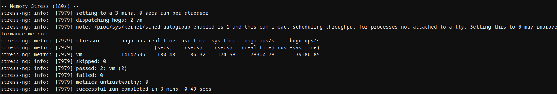 Hostinger Ubuntu VPS memory stress test results