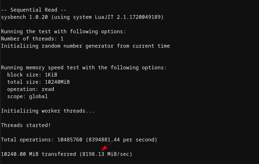 screenshot of Sequential Read Memory Performance test (Dedicated Server)