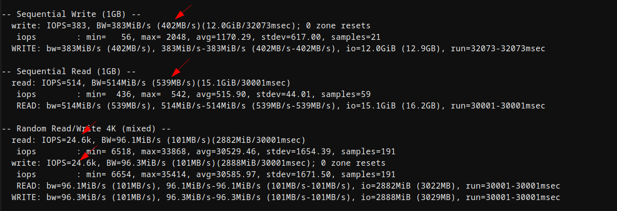 screenshot of Disk I/O test (Dedicated Server)