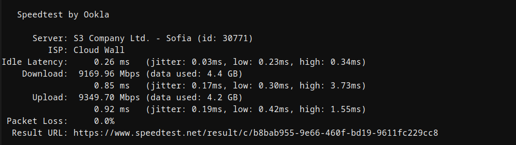 screenshot of Network Speed test (Dedicated Server)