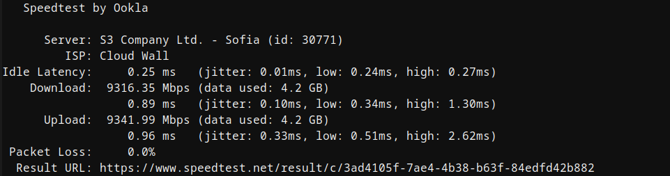 screenshot of Speed test (Dedicated Server)