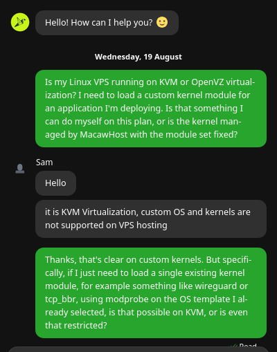screenshot of Live chat conversation