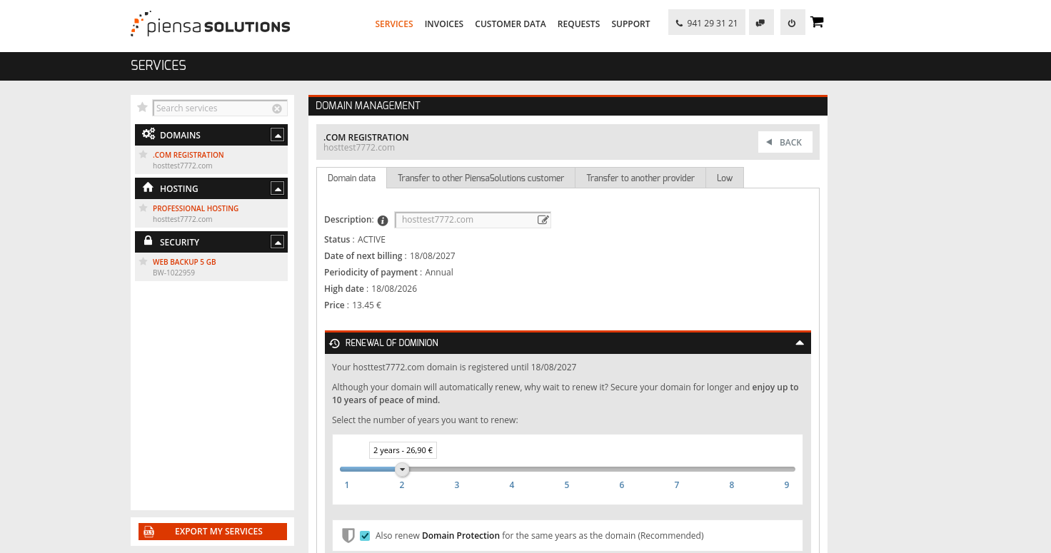 Piensa Solutions Domain Data page showing renewal information and Domain Protection