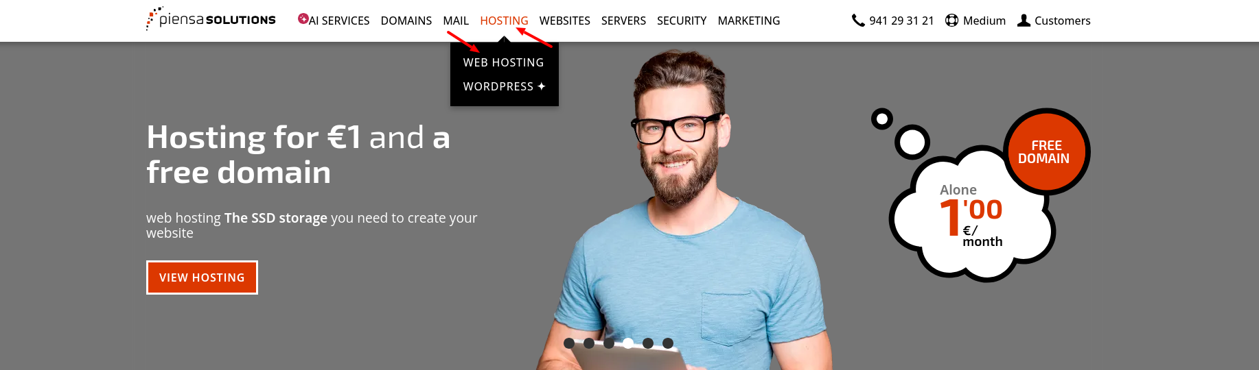 Piensa Solutions website Web Hosting section