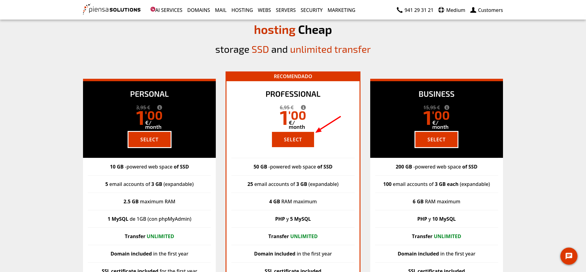 Piensa Solutions web hosting plans showing Personal Professional and Business tiers