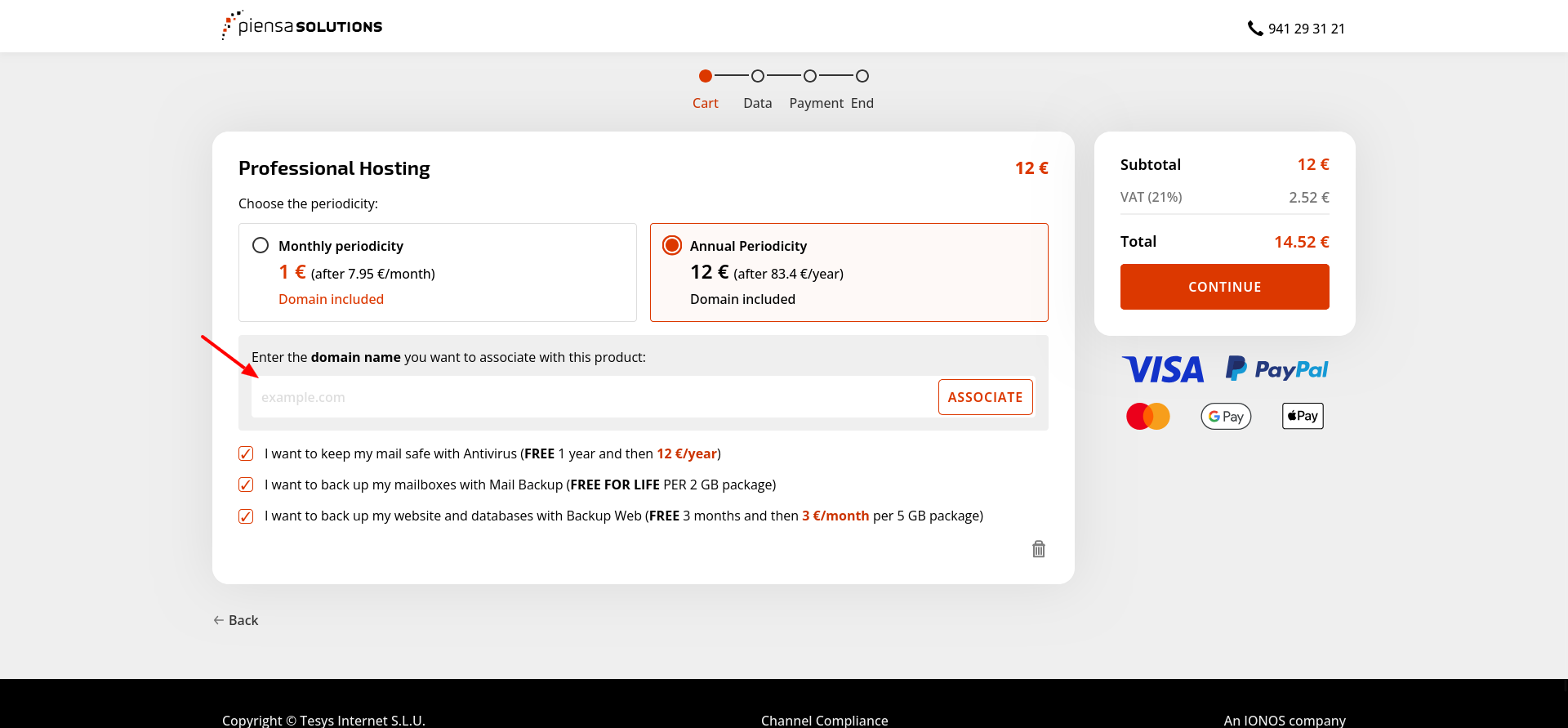 Piensa Solutions checkout page showing annual Professional Hosting billing and domain selection