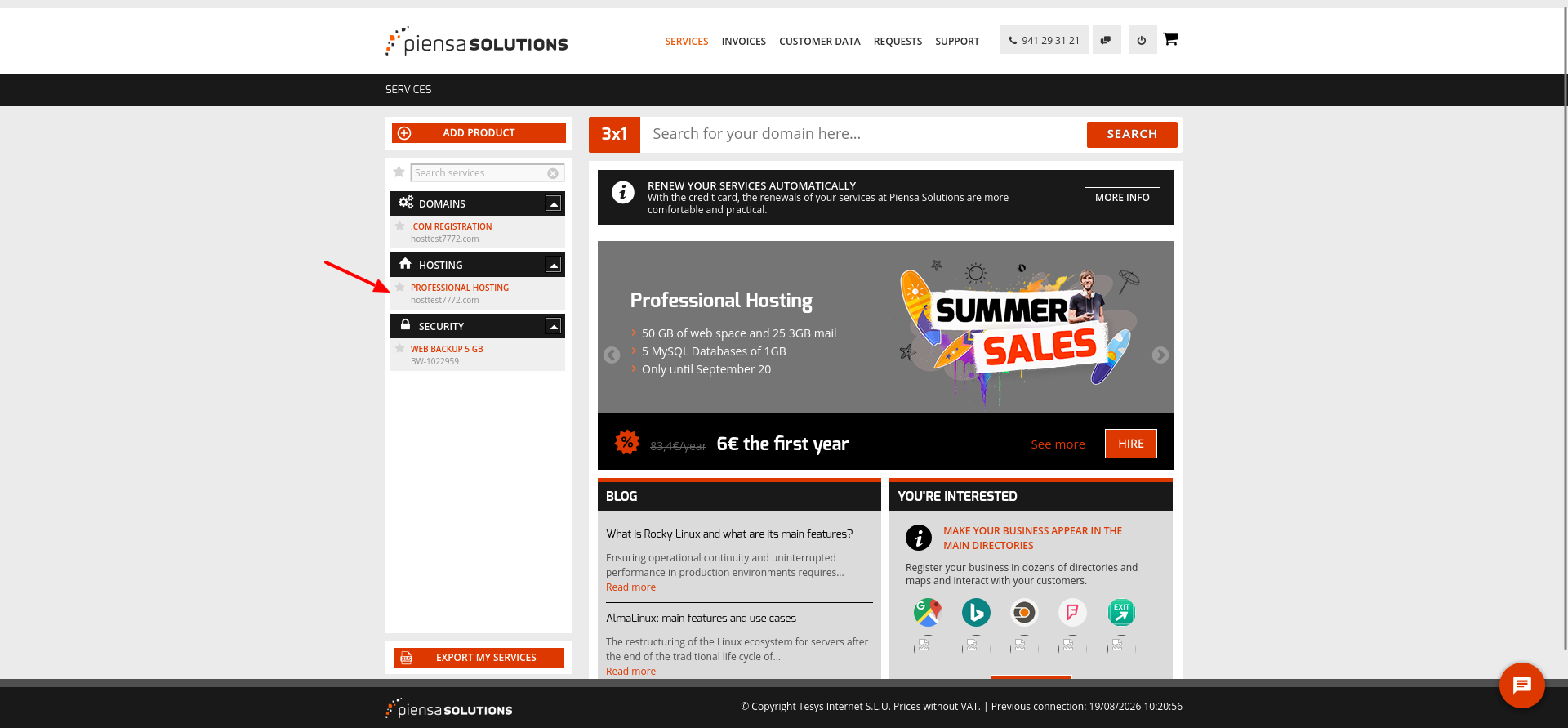 Piensa Solutions Professional Hosting summary with Control Panel Administrative Management and Domain Data