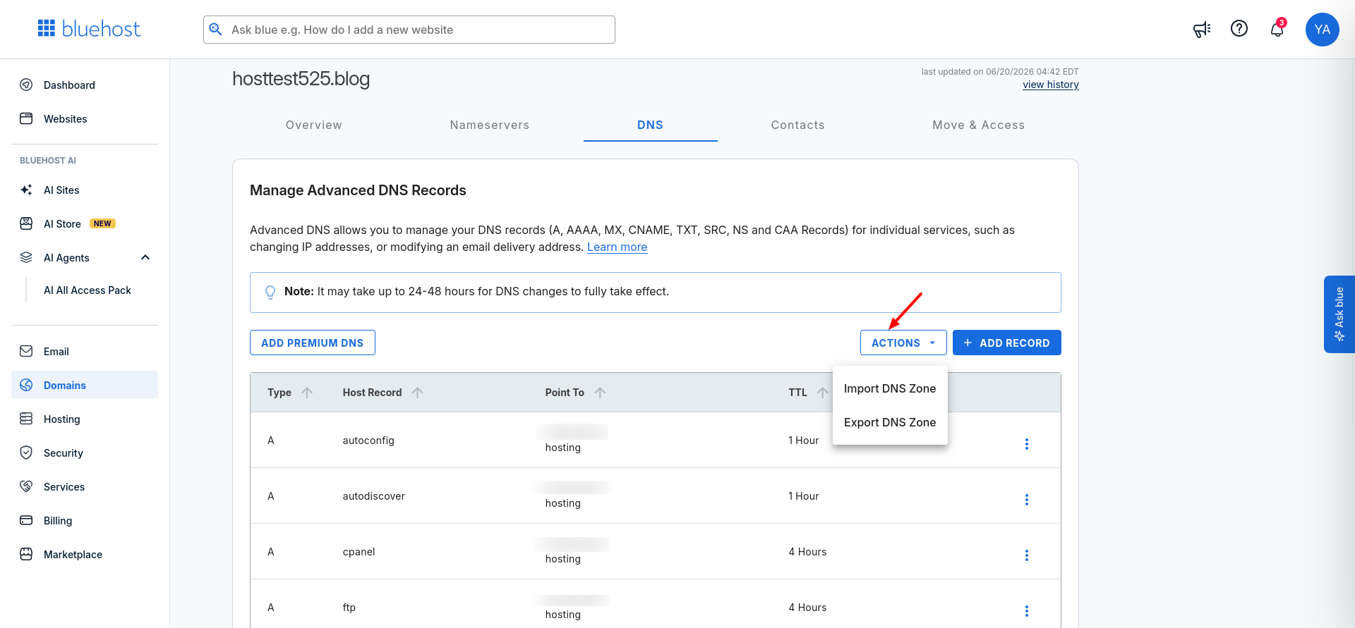 Bluehost DNS Actions menu showing Import DNS Zone and Export DNS Zone options