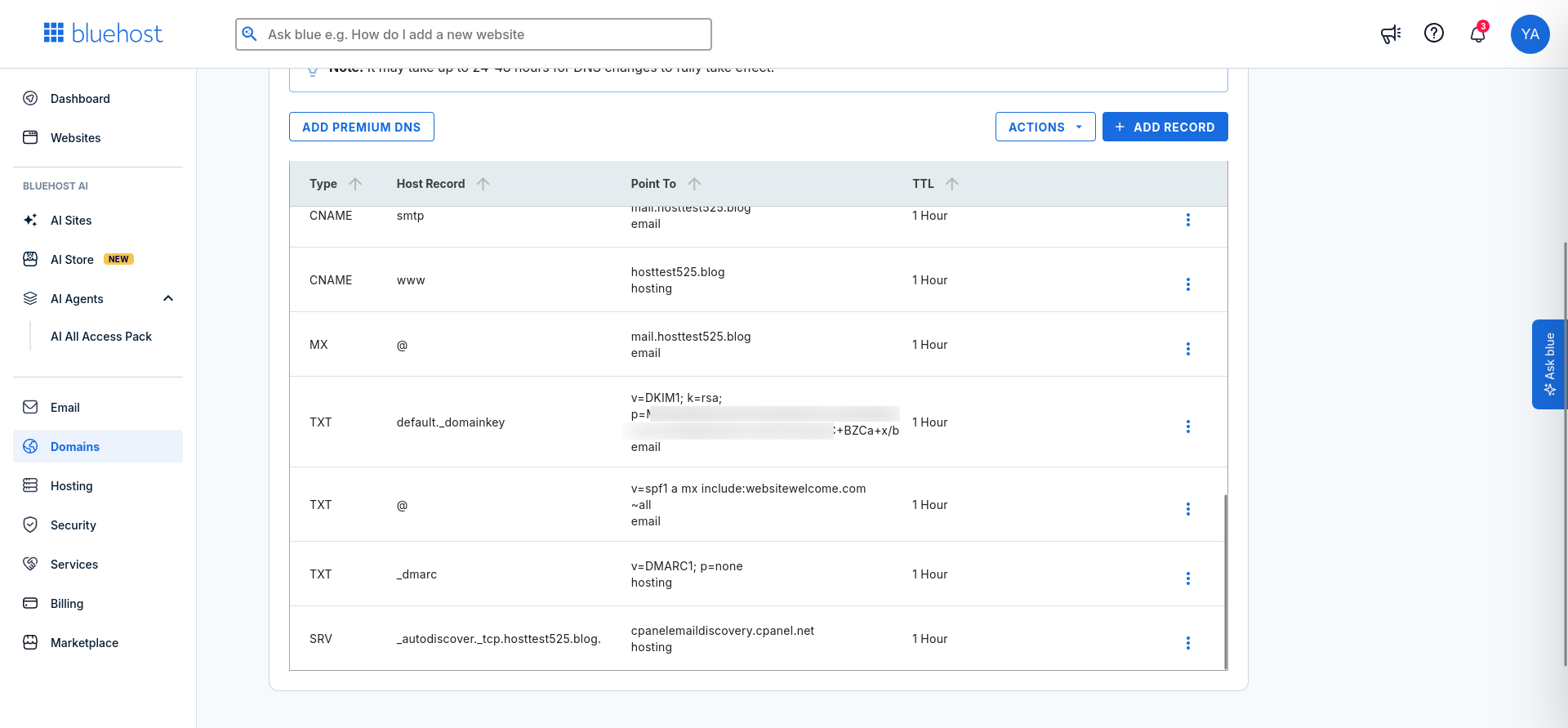 Bluehost email DNS records including MX, SPF, DKIM, and DMARC entries
