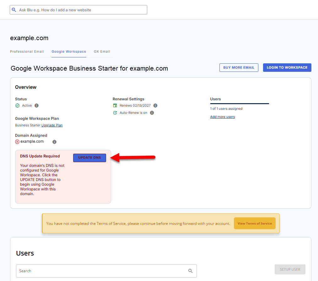 Bluehost Google Workspace DNS configuration confirmation