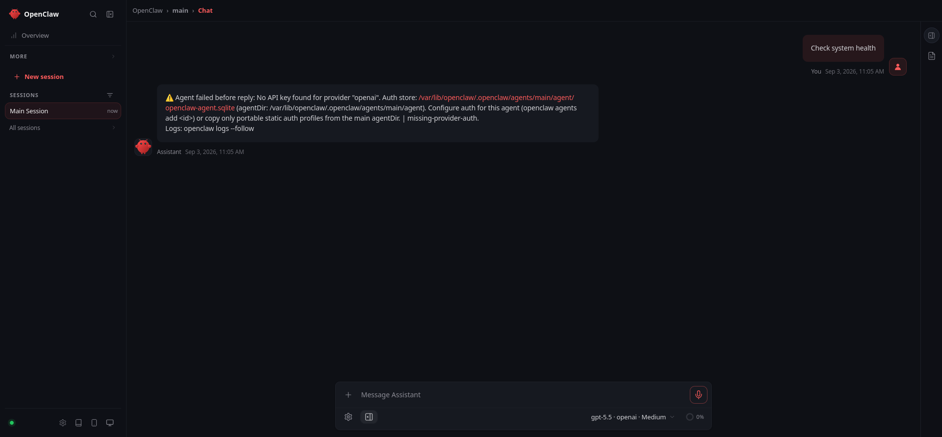 OpenClaw Check system health prompt showing missing OpenAI API key error