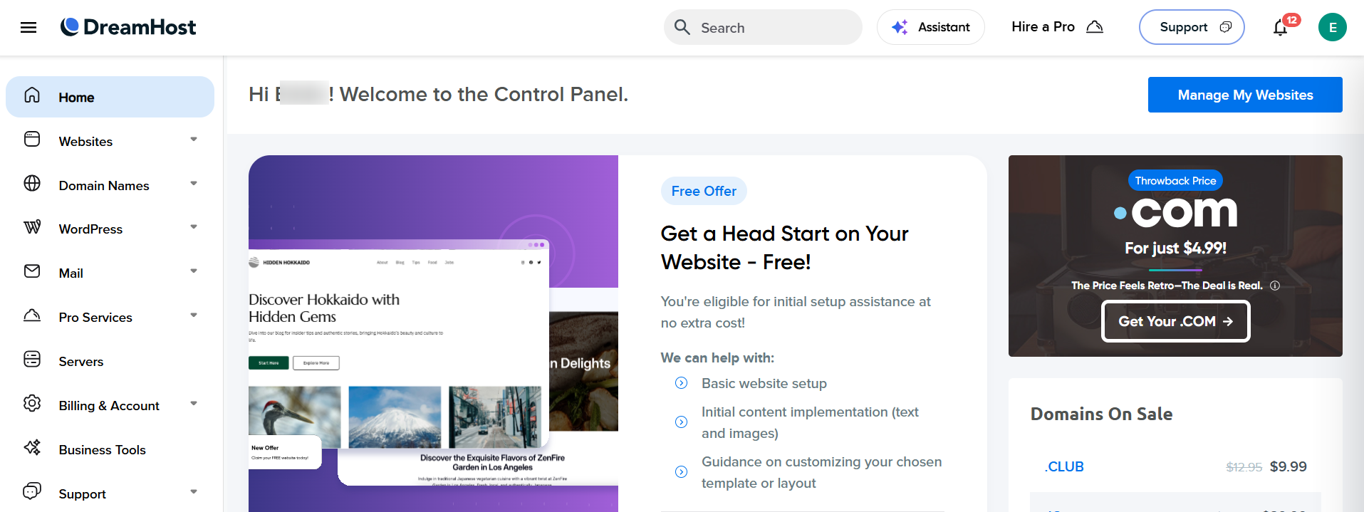 DreamHost dashboard and client area
