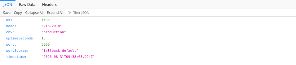 Hostinger Express.js API status JSON showing portSource as fallback default