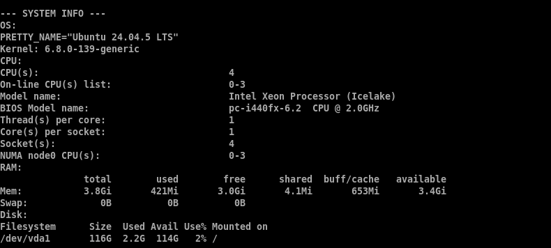 Terminal output showing VPS system specs, including 4 CPU cores, 3.8GB RAM, and a 116GB disk on Ubuntu 24.04.5 LTS