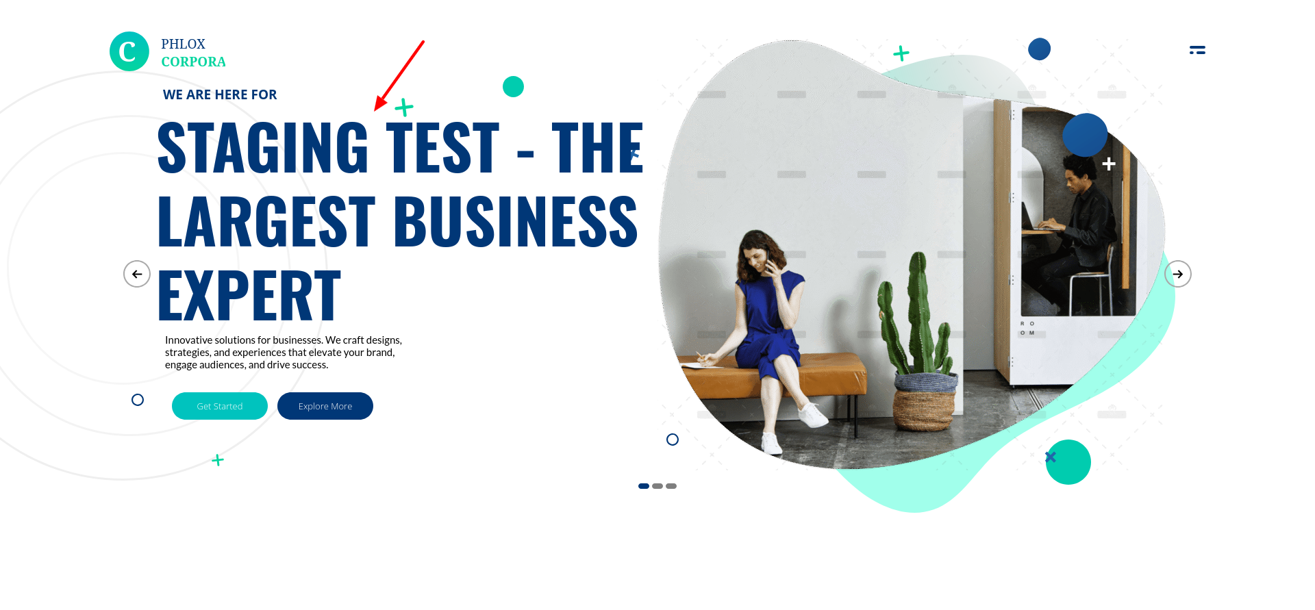 20i staging copy of the WordPress homepage showing the edited “STAGING TEST - THE LARGEST BUSINESS EXPERT” headline.