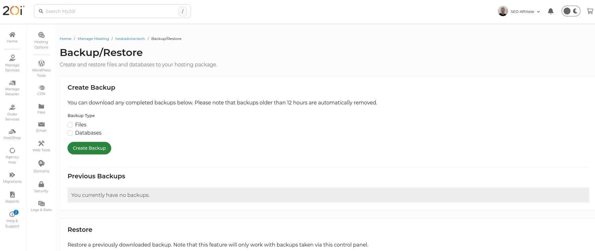 20i Backup/Restore tool showing separate Files and Databases options before I created the combined backup.