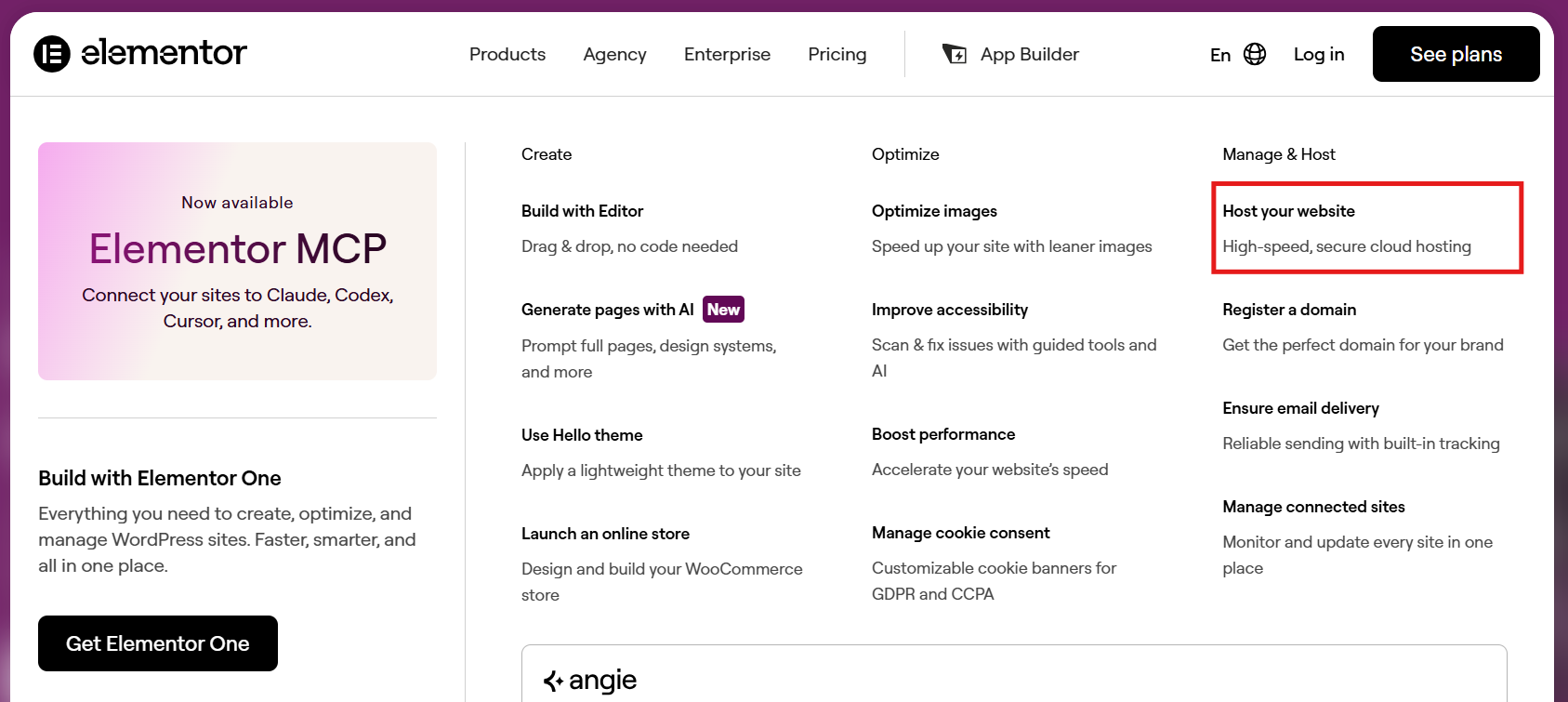 Elementor Products menu with Host your website option