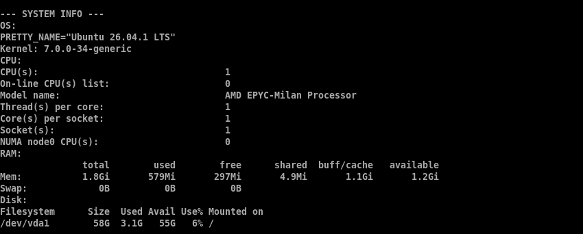 Terminal system information for Fasthosts VPS 1 showing Ubuntu 26.04.1 LTS, one AMD EPYC-Milan processor, 1.8GiB reported memory, no swap, and a 58G root filesystem.