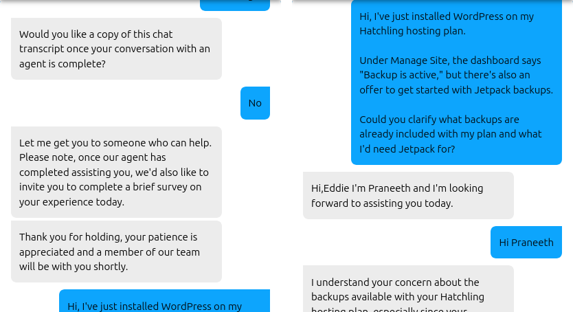 HostGator live chat requesting basic details before queueing the conversation, followed by my question about included Hatchling backups and Jetpack.