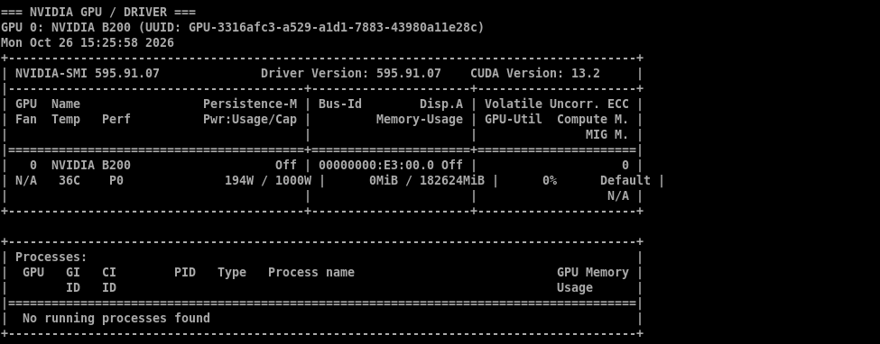 nvidia-smi confirming the NVIDIA B200, driver 595.91.07, CUDA 13.2 driver support and approximately 178 GiB of GPU memory