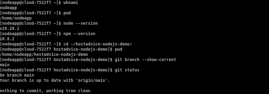SSH terminal verifying the Node.js, npm, and Git environment