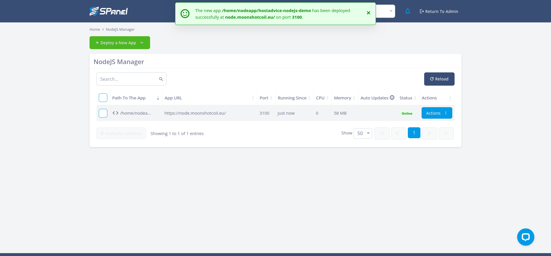 SPanel NodeJS Manager showing an online Node.js application