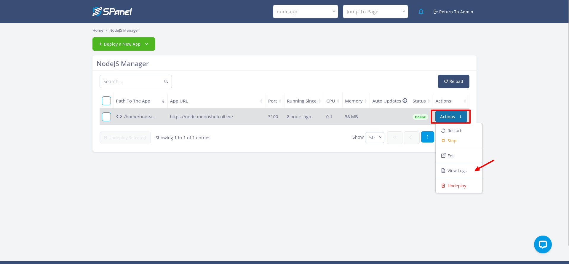 SPanel NodeJS Manager application log output for the test error