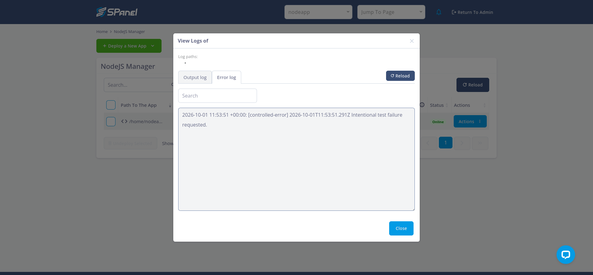 SPanel domain access log showing the controlled HTTP 500 request