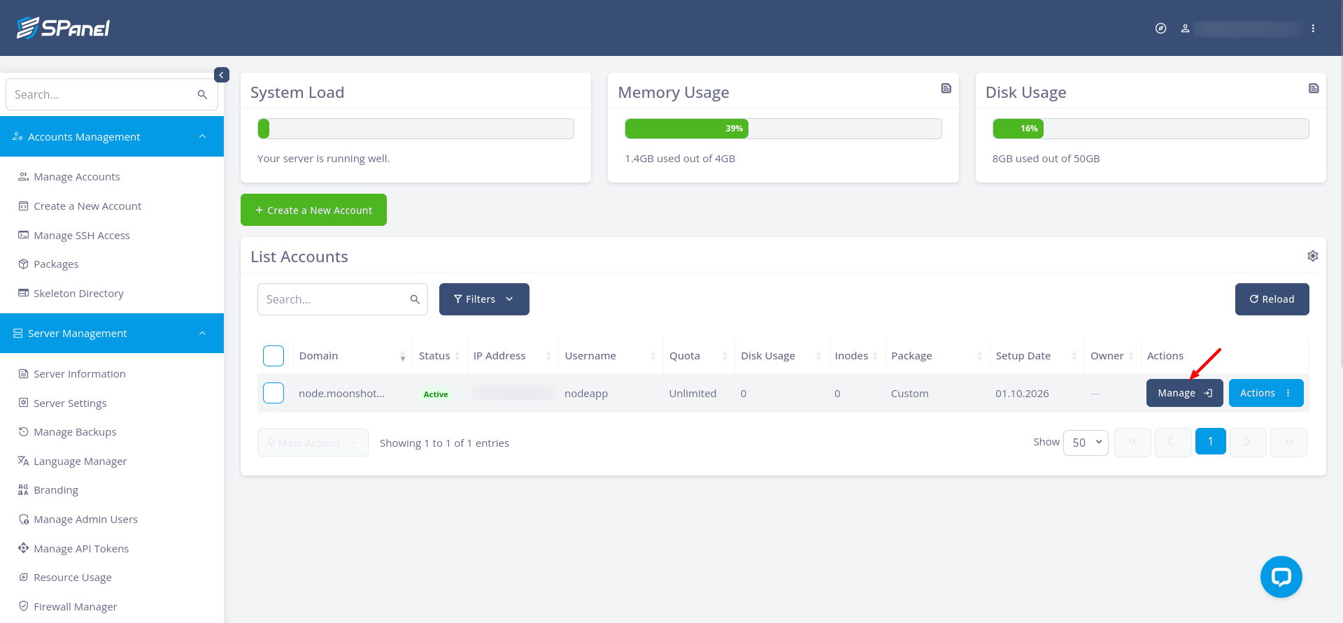 SPanel Accounts Management list with a new active account