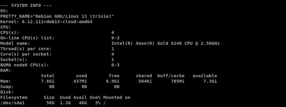 Infrawire VPS system information showing Debian 13, four Intel Xeon vCPUs, 7.8 GiB RAM, and a 50 GB root filesystem.
