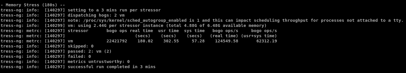 Infrawire's 180-second memory stress test with two workers completed successfully with zero reported failures.