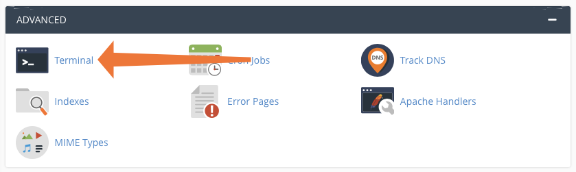 Original InMotion cPanel Advanced section showing Terminal access for shell-based website administration.
