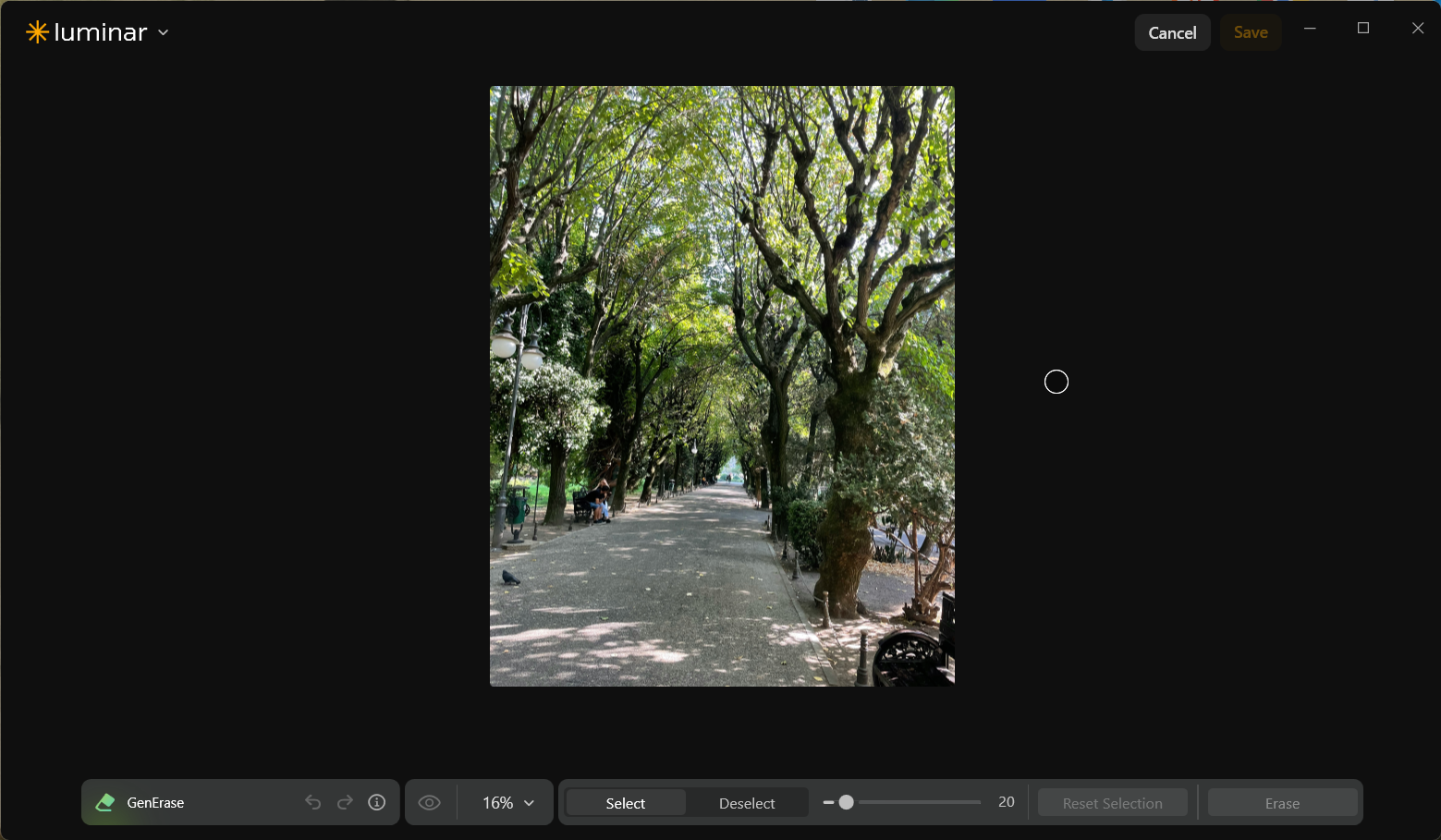 Luminar Neo GenErase workspace displaying a leafy park walkway with benches and a pigeon on the pavement before object removal.