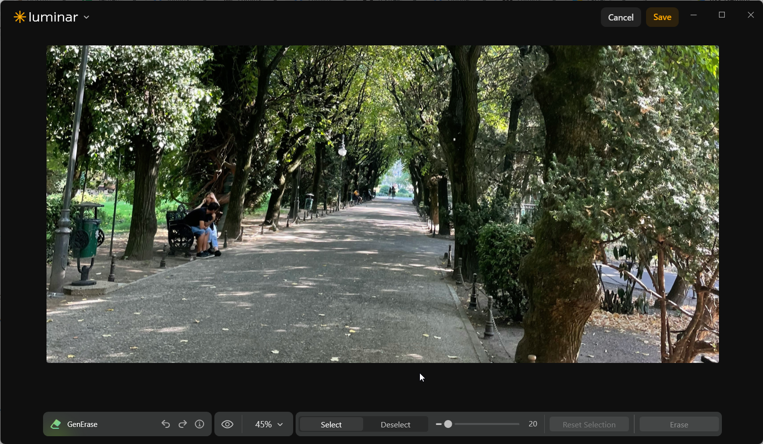 Park path in Luminar Neo GenErase after the pigeon and second small selected area were removed, leaving the pavement apparently continuous at 45% zoom.