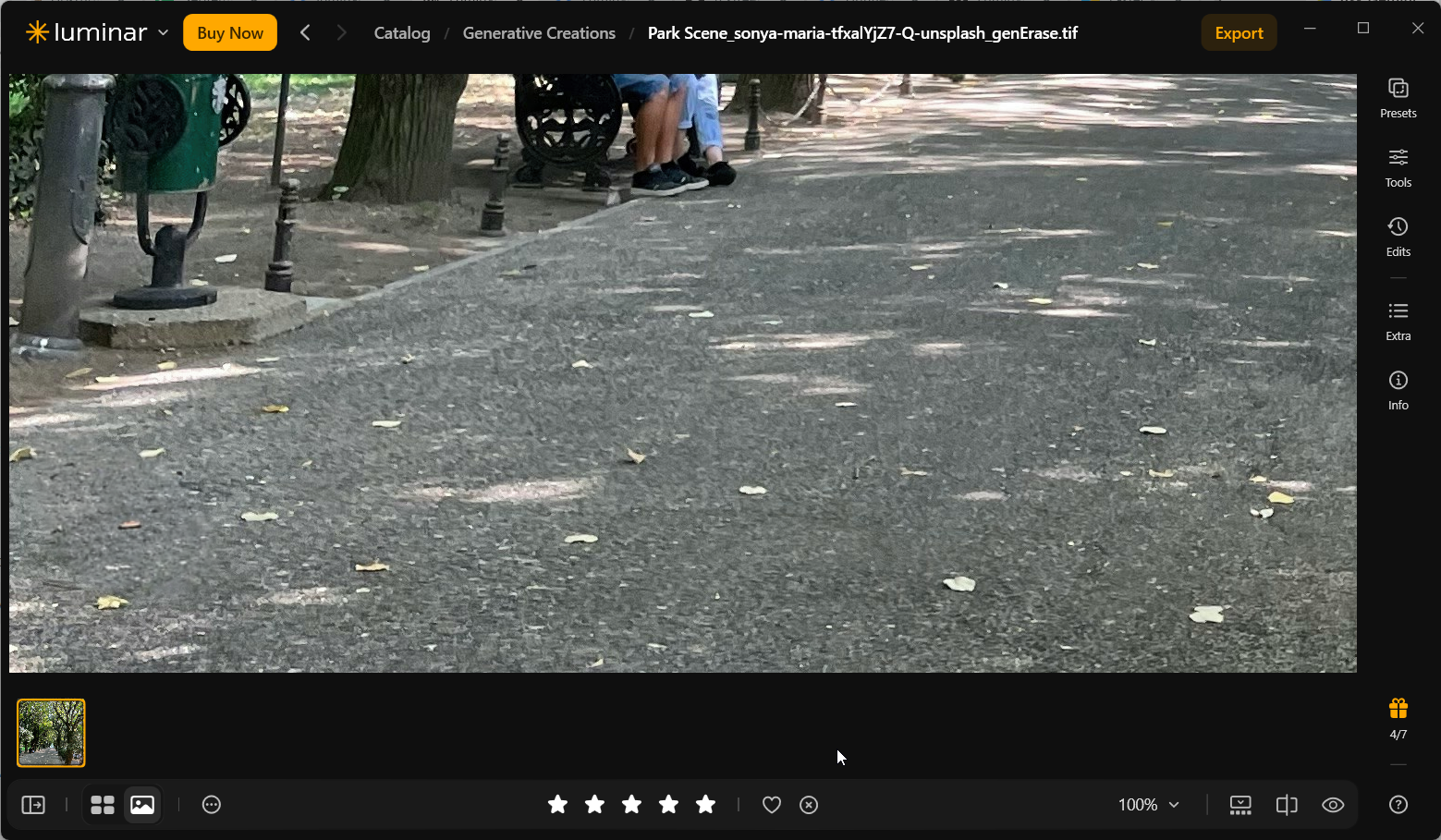 Close-up of the saved GenErase TIFF at 100% zoom showing textured park pavement and scattered leaves where the pigeon had been removed.